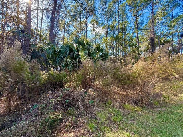 LOT 15 APRICOT AVENUE, Eustis, FL 32736