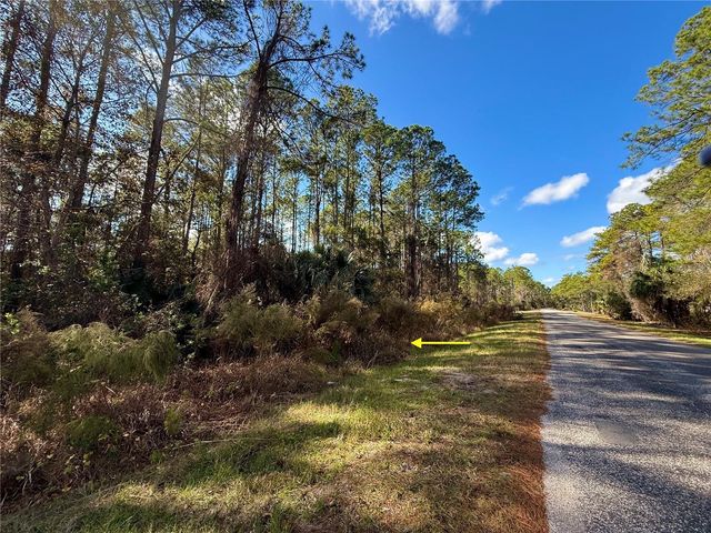 LOT 15 APRICOT AVENUE, Eustis, FL 32736