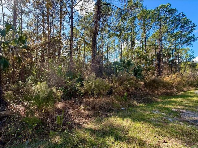 LOT 15 APRICOT AVENUE, Eustis, FL 32736