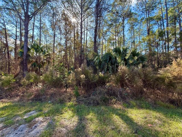 LOT 15 APRICOT AVENUE, Eustis, FL 32736
