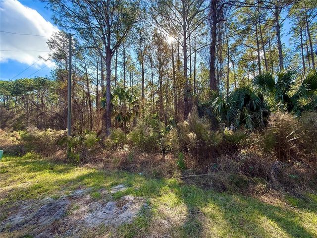 LOT 15 APRICOT AVENUE, Eustis, FL 32736
