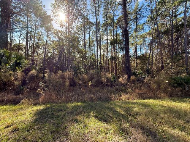 LOT 15 APRICOT AVENUE, Eustis, FL 32736