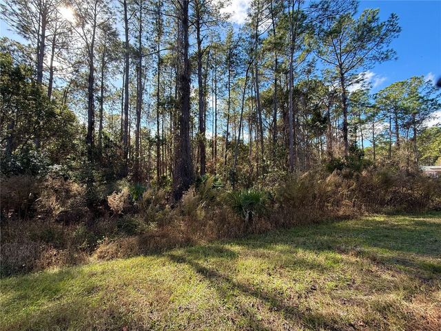 LOT 15 APRICOT AVENUE, Eustis, FL 32736