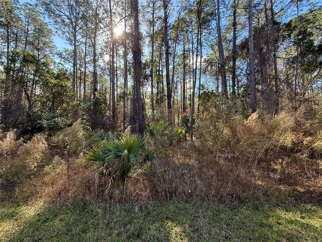 LOT 15 APRICOT AVENUE, Eustis, FL 32736