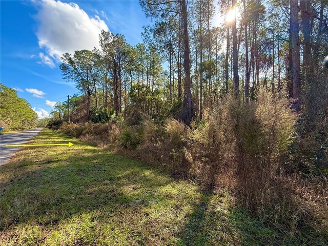 LOT 15 APRICOT AVENUE, Eustis, FL 32736
