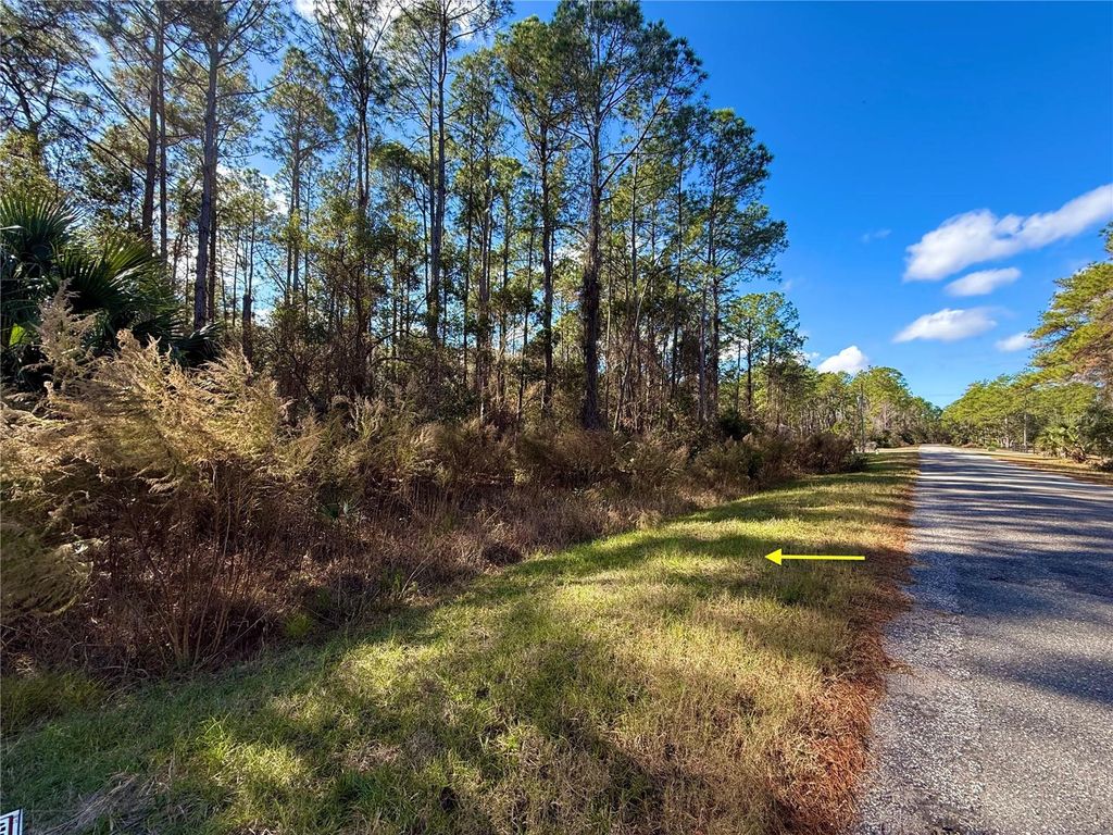 LOT 15 APRICOT AVENUE, Eustis, FL 32736
