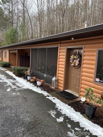 29 Plum Nearly Lane, Maggie Valley, NC 28751
