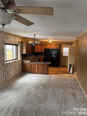 29 Plum Nearly Lane, Maggie Valley, NC 28751