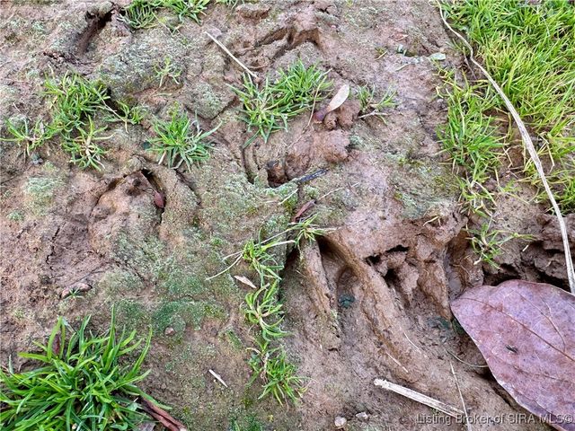 6113 Hibernia Road, Charlestown, IN 47111