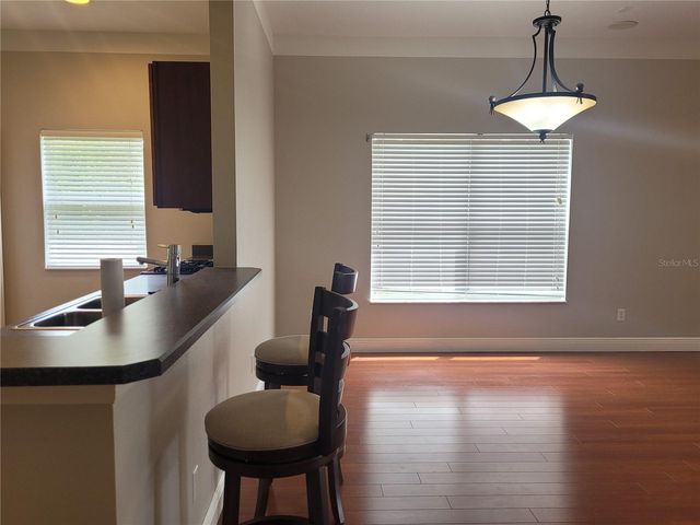 20722 GREAT LAUREL AVENUE, Tampa, FL 33647