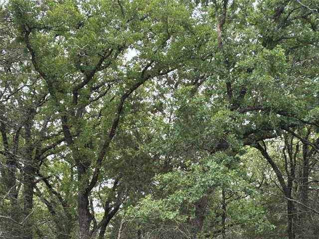 2250 Old Lockhart RD, Plum, TX 78952