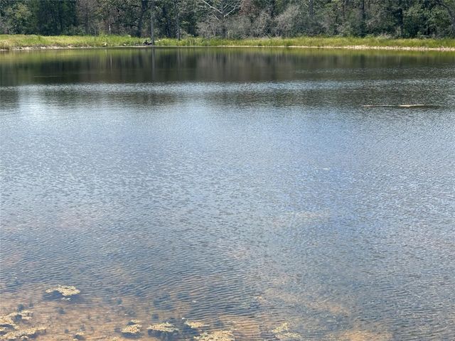 2250 Old Lockhart RD, Plum, TX 78952