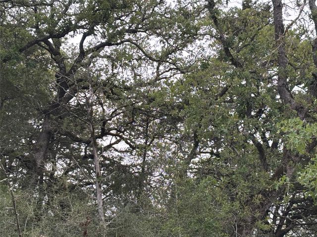 2250 Old Lockhart RD, Plum, TX 78952