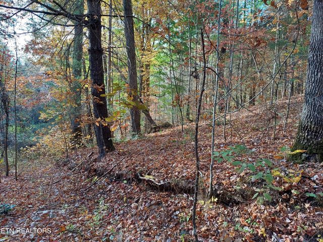 1.76 Acres Sugar Maple Way, Del Rio, TN 37727