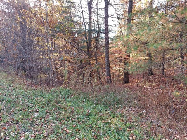 1.76 Acres Sugar Maple Way, Del Rio, TN 37727