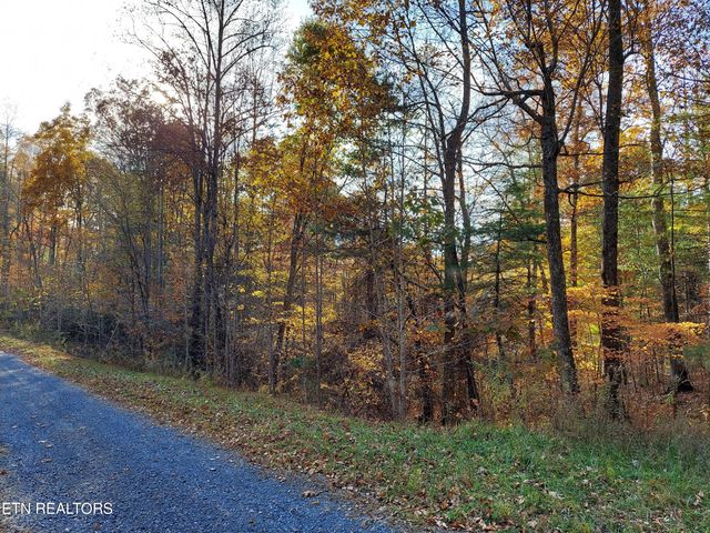 1.76 Acres Sugar Maple Way, Del Rio, TN 37727