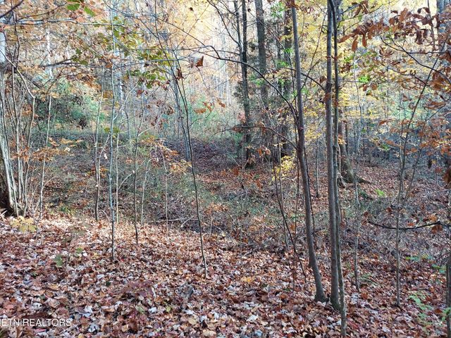 1.76 Acres Sugar Maple Way, Del Rio, TN 37727