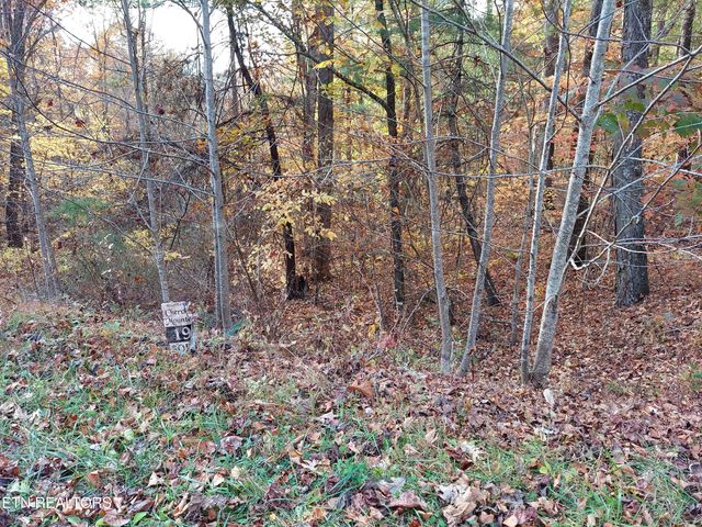 1.76 Acres Sugar Maple Way, Del Rio, TN 37727