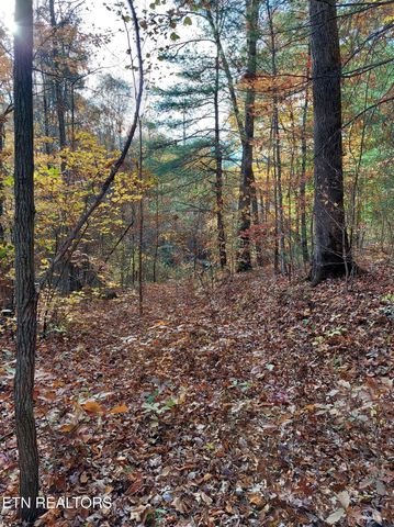 1.76 Acres Sugar Maple Way, Del Rio, TN 37727