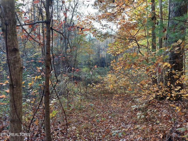 1.76 Acres Sugar Maple Way, Del Rio, TN 37727