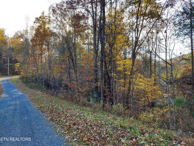 1.76 Acres Sugar Maple Way, Del Rio, TN 37727