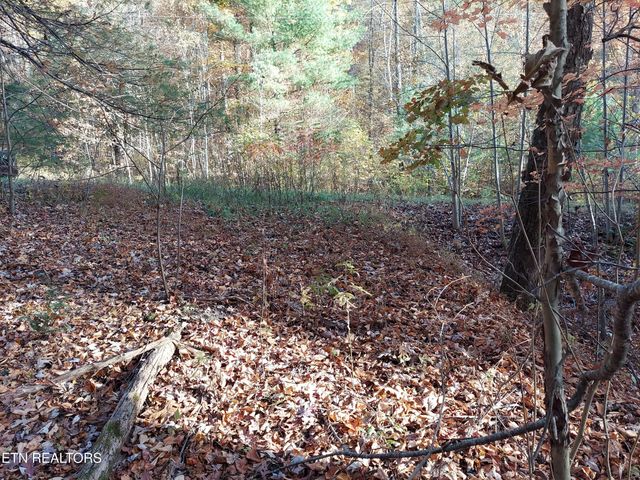1.76 Acres Sugar Maple Way, Del Rio, TN 37727