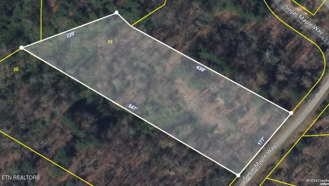 1.76 Acres Sugar Maple Way, Del Rio, TN 37727
