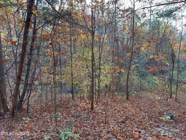 1.76 Acres Sugar Maple Way, Del Rio, TN 37727