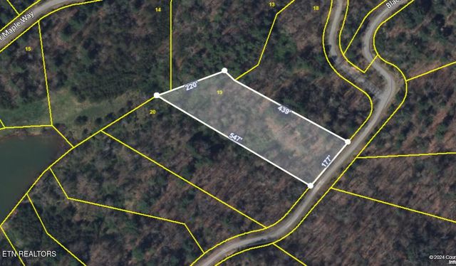 1.76 Acres Sugar Maple Way, Del Rio, TN 37727