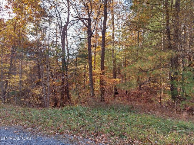 1.76 Acres Sugar Maple Way, Del Rio, TN 37727