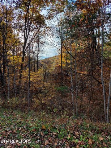 1.76 Acres Sugar Maple Way, Del Rio, TN 37727