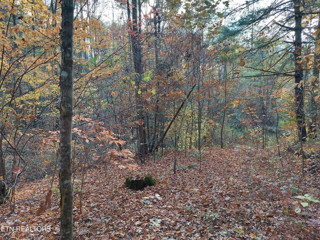 1.76 Acres Sugar Maple Way, Del Rio, TN 37727