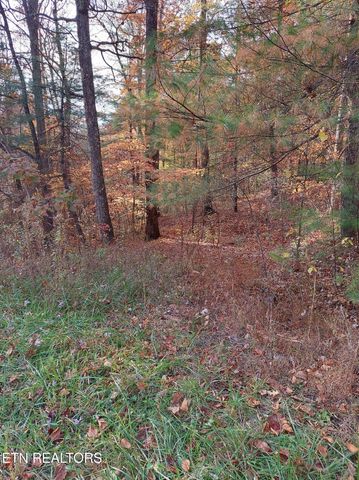 1.76 Acres Sugar Maple Way, Del Rio, TN 37727