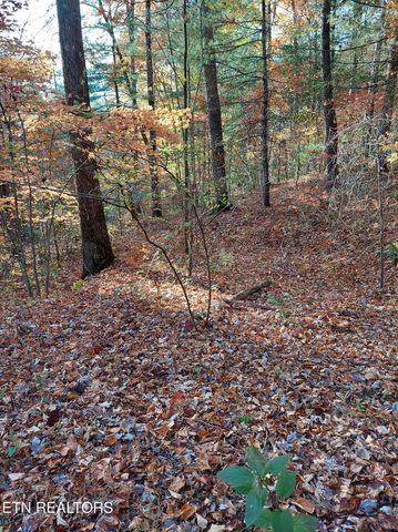 1.76 Acres Sugar Maple Way, Del Rio, TN 37727