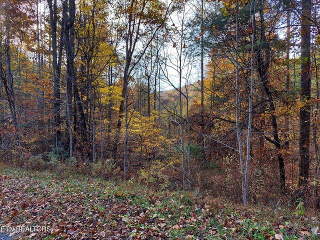 1.76 Acres Sugar Maple Way, Del Rio, TN 37727