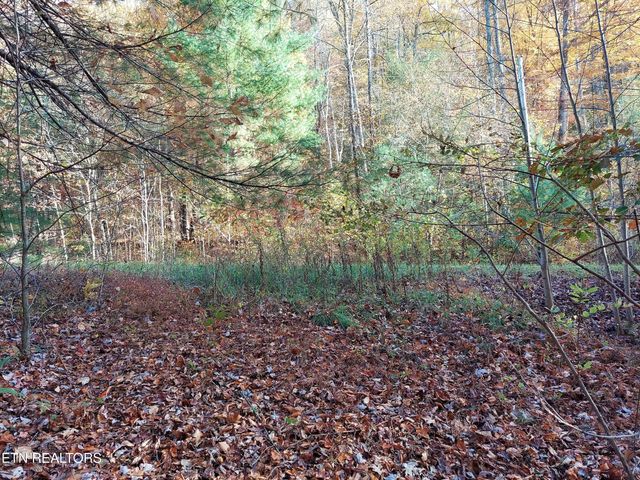 1.76 Acres Sugar Maple Way, Del Rio, TN 37727