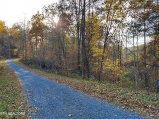 1.76 Acres Sugar Maple Way, Del Rio, TN 37727