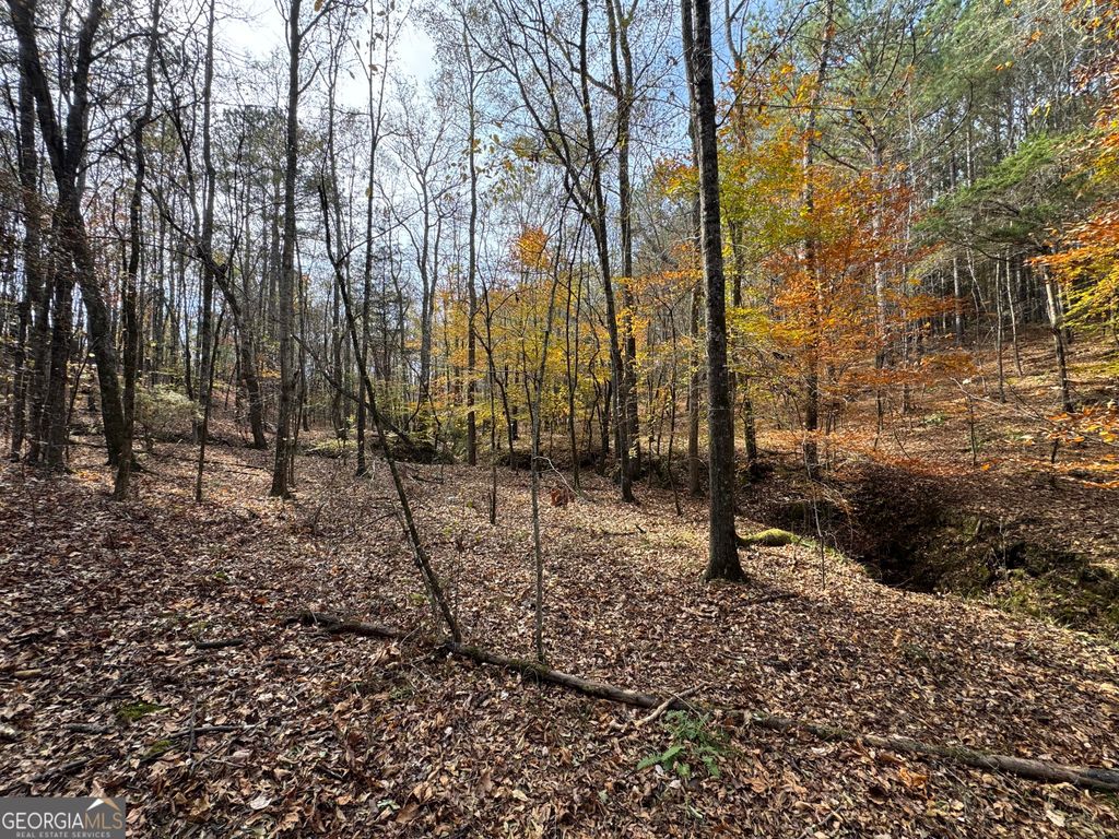 0 Old Middleton Road, Elberton, GA 30635 — exterior