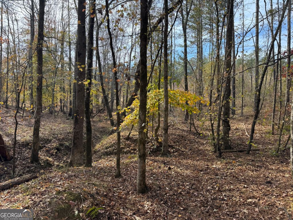 0 Old Middleton Road, Elberton, GA 30635 — photo 4