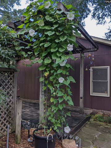 1351 Smyrna Road, Elgin, SC 29045