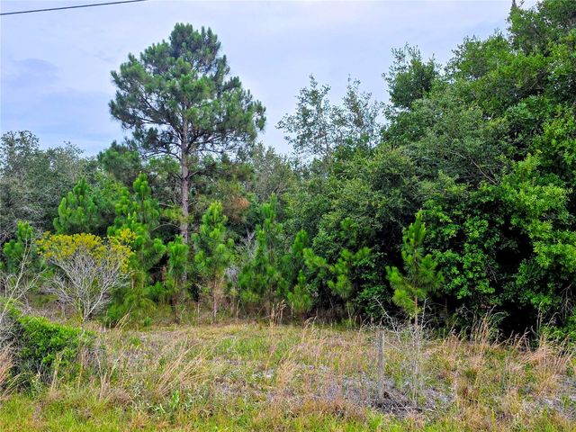 0 AVON PARK CUTOFF ROAD, Fort Meade, FL 33841