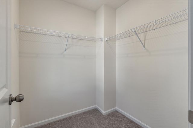 206 Palfrey Drive, Ridgeville, SC 29472