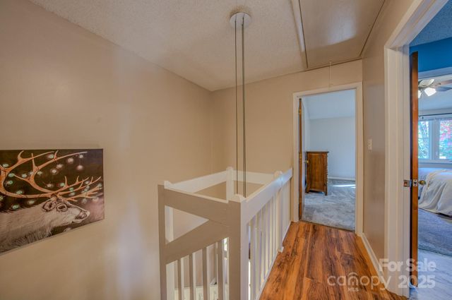 43 Hollybrook Drive, Asheville, NC 28803