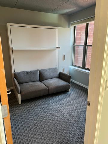 1250 S Indiana Avenue 606, Chicago, IL 60605