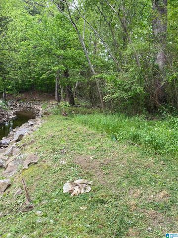 0 SE BROWN DRIVE, Cullman, AL 35055