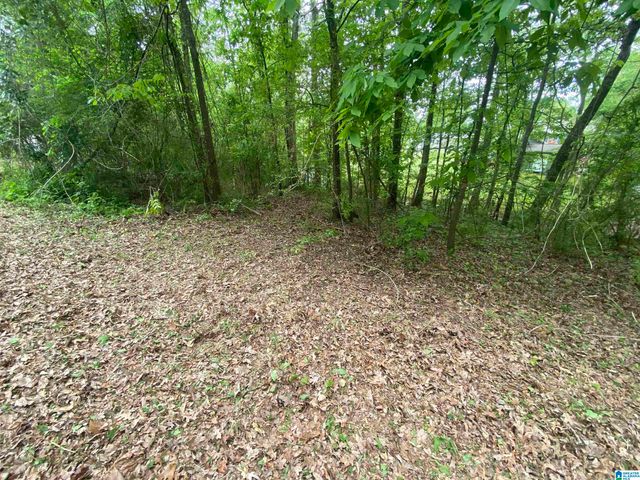 0 SE BROWN DRIVE, Cullman, AL 35055