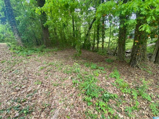 0 SE BROWN DRIVE, Cullman, AL 35055
