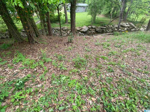 0 SE BROWN DRIVE, Cullman, AL 35055