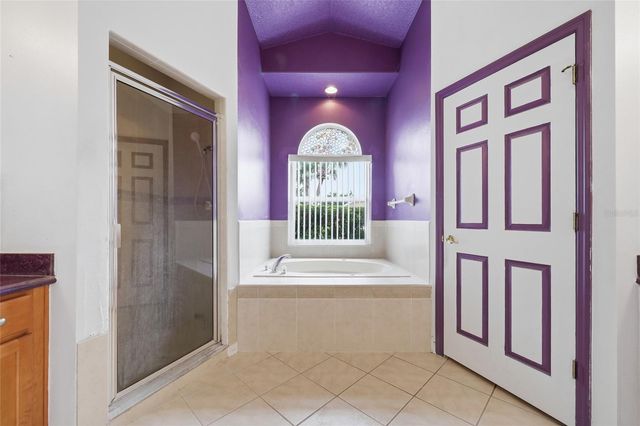 208 CORVINA DRIVE, Davenport, FL 33897