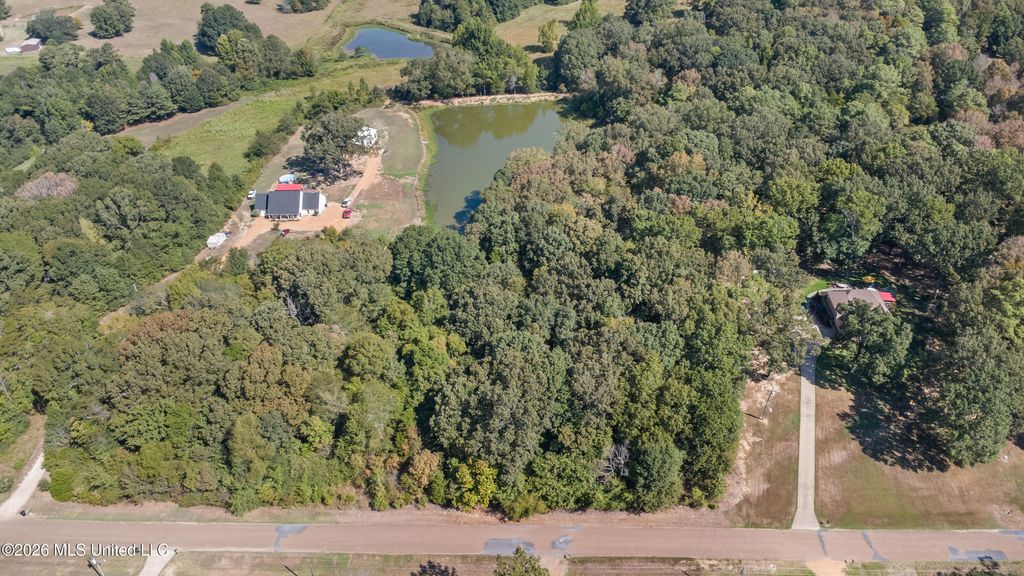 115 Cherrydale Drive, Coldwater, MS 38618 — photo 2